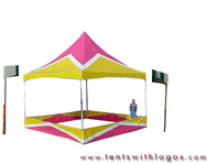 20 x 20 High Peak Tent - Pink, White and Yellow